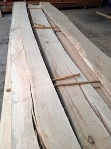 Bild 3 - Buche-Bohlen - 50mm
