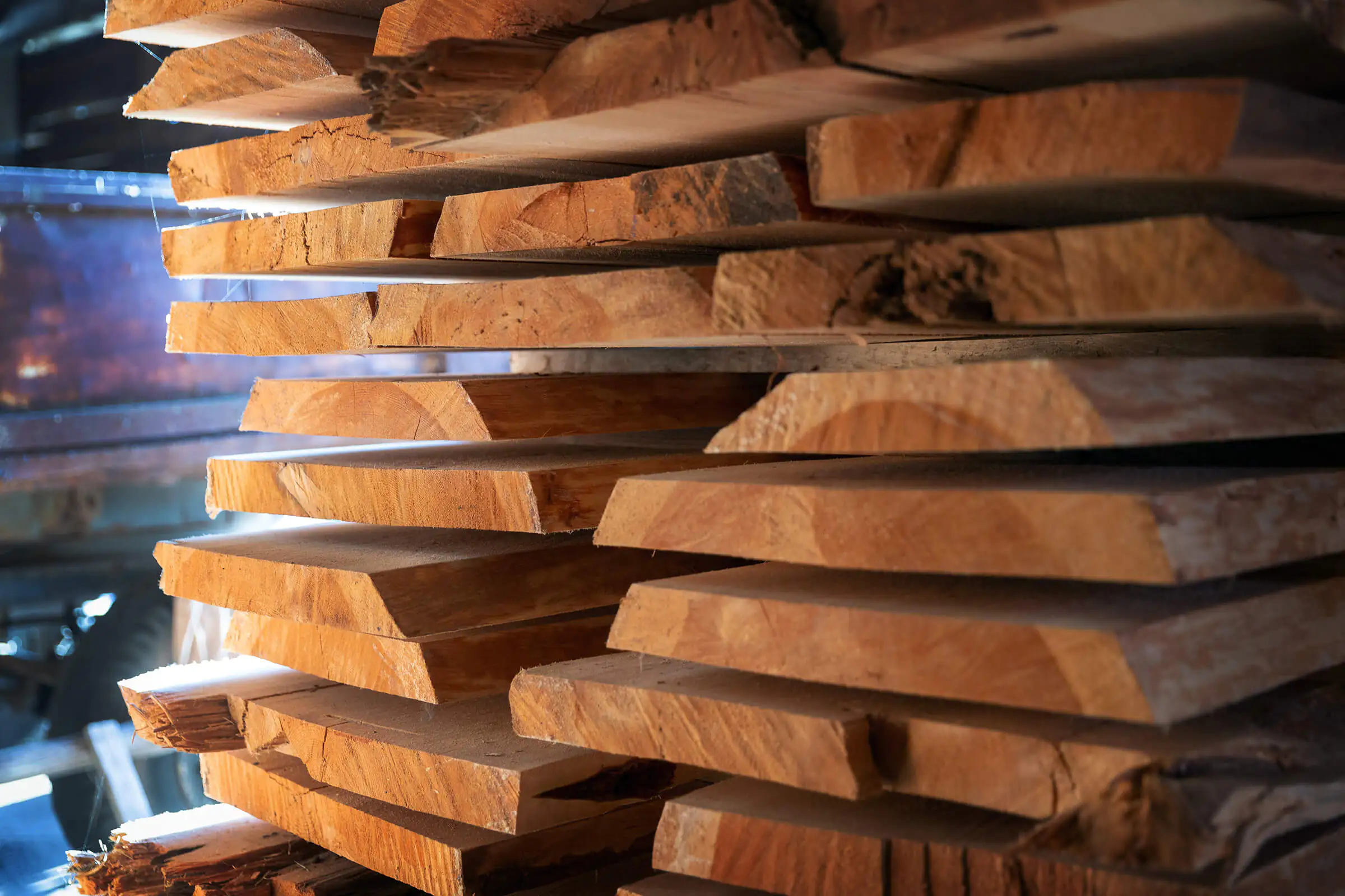 Mobiles Sägewerk und Holzverarbeitung