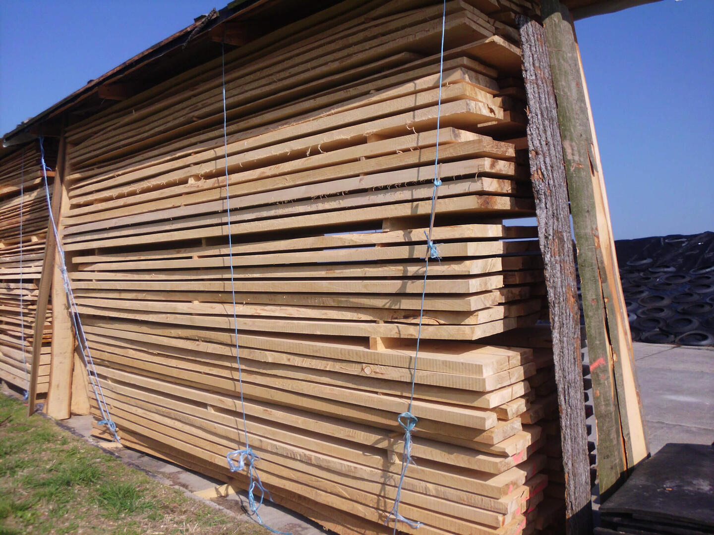 Holzstapel Buche