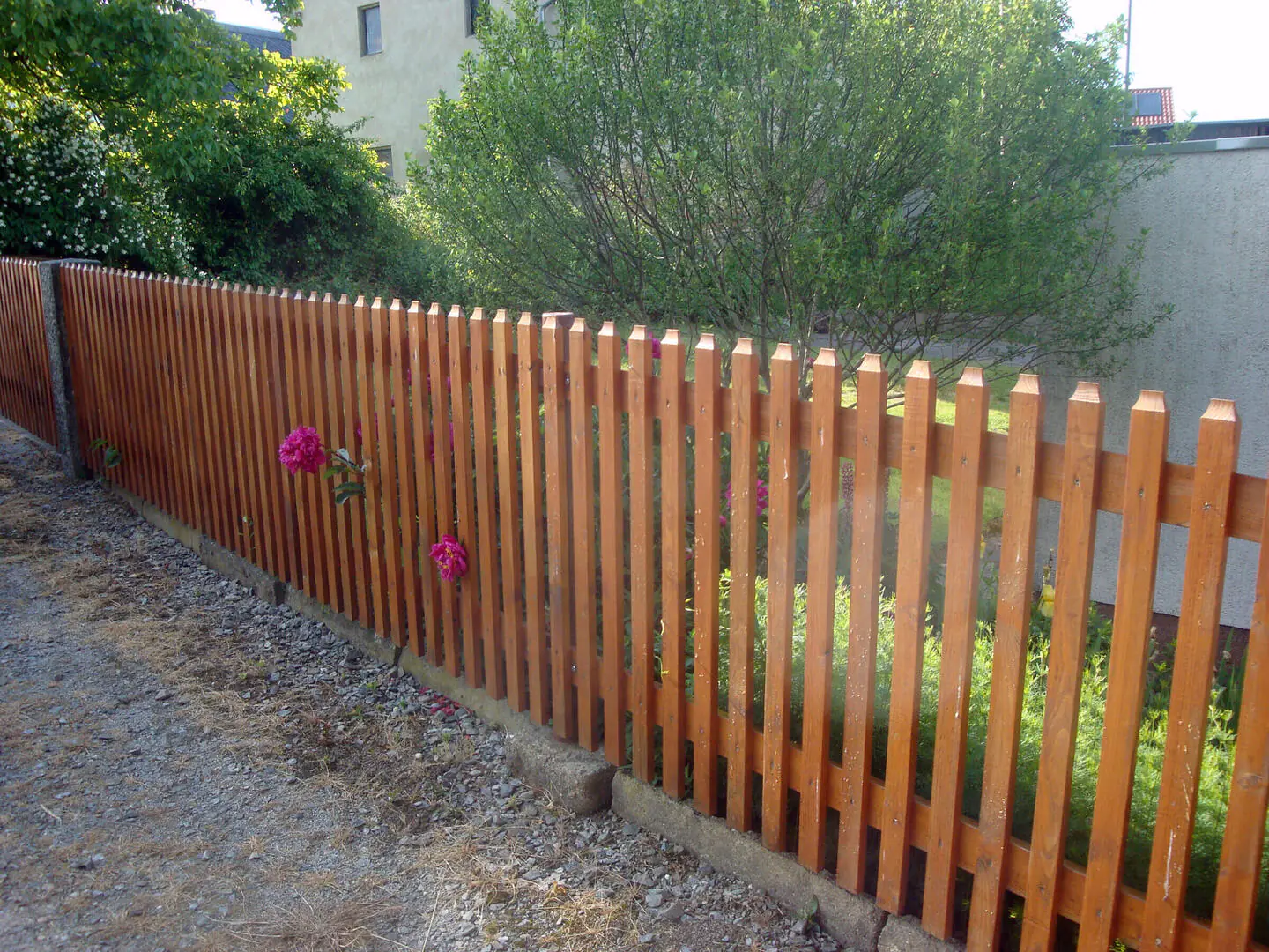 Lärche Zaun